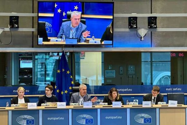 eurodeputatul dan nica psd europa risca sa si piarda industria daca nu sustine productia proprie 68ee74b893402