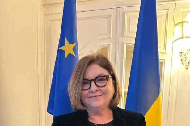 europarlamentarul adina valean a primit ordinul de merit al ucrainei foto 68f0a0218878a