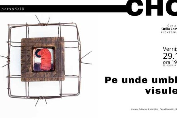 expozitia pe unde umbli visule semnata de chob vernisata la casa de cultura a studentilor din bucuresti 68ff3cb9b1747