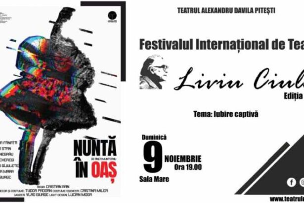 festivalul international de teatru liviu ciulei incepe sambata la teatrul alexandru davila din pitesti 69047dfd3c675