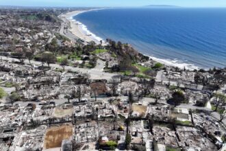 florida man charged with starting palisades fire that killed 12 people 68e69b11d2349