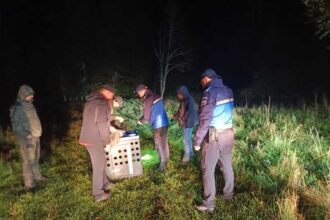 gorj rasul capturat in curtea unui localnic din runcu in luna iulie eliberat pe valea baltii 68dfa46e93181