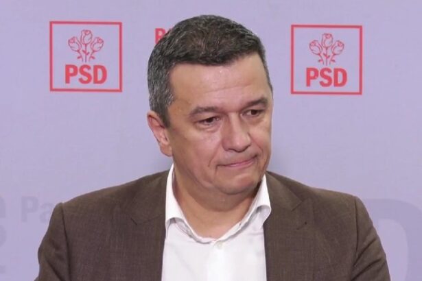 grindeanu afirma ca psd are destule variante pentru candidatul la primaria capitalei avem masuratori in lucru care vor fi gata pana la sfarsitul saptamanii viitoare si vom vota ca 68fbb53a2cbd9