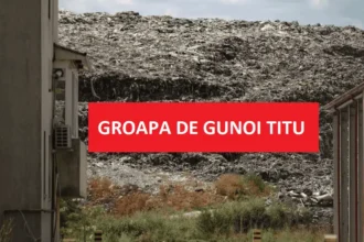 Groapa interzisă care refuză să moară. Cum primarul PSD și Consiliul Județean ignoră legea, hărțuiesc activiștii și îngropă deșeuri în curțile săracilor. 16 groapa de gunoi titu