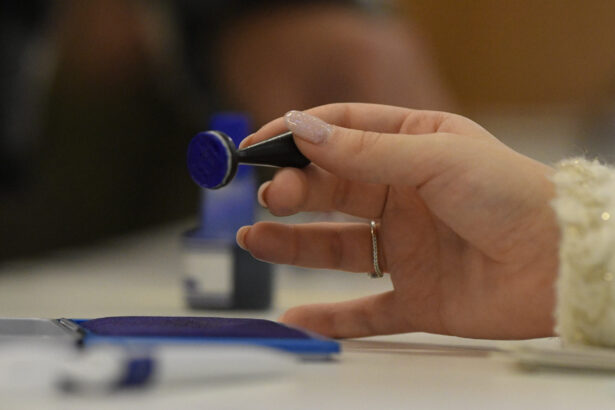 guvernul aloca 676 milioane lei pentru organizarea alegerilor locale partiale din 7 decembrie 6904989129205