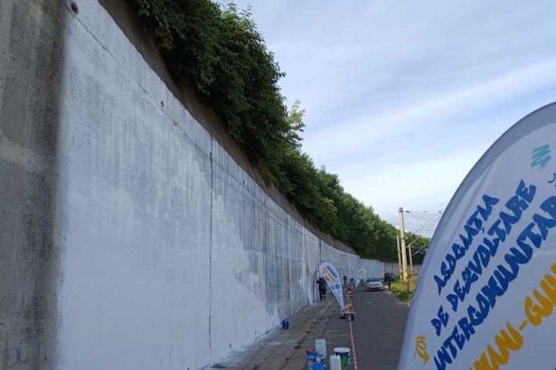 harghita festival de arta urbana la toplita zidul de langa cascada mezotermala devine o imensa opera de arta 68de95ea98b02