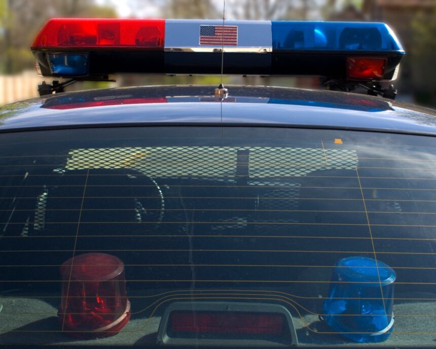 hero dog leads police to florida woman 86 who had fallen while walking him 68e7aeb404252