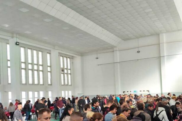 hunedoara peste 1 000 de persoane la bursa locurilor de munca pentru absolventi recrutari de personal la termocentrala mintia 68e9102b773dd