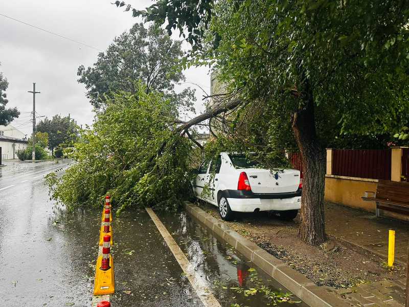 igsu copaci prabusiti peste doua autoturisme in deplasare pe strazi din bucuresti o persoana a fost ranita 68e021caccb06