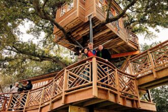 inside a billionaires 400000 treehouse 68ebad7c83d14