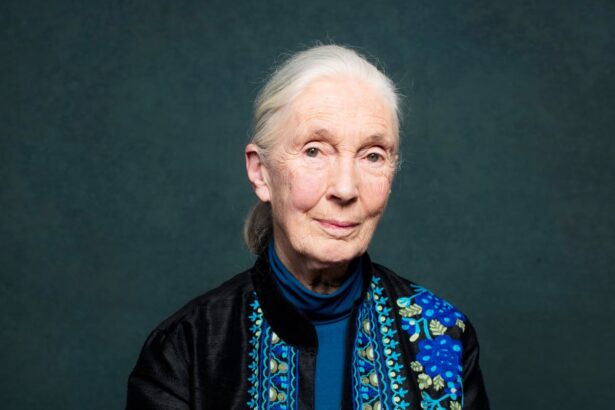 jane goodall world renowned primatologist dies aged 91 68dd7dbb0373c