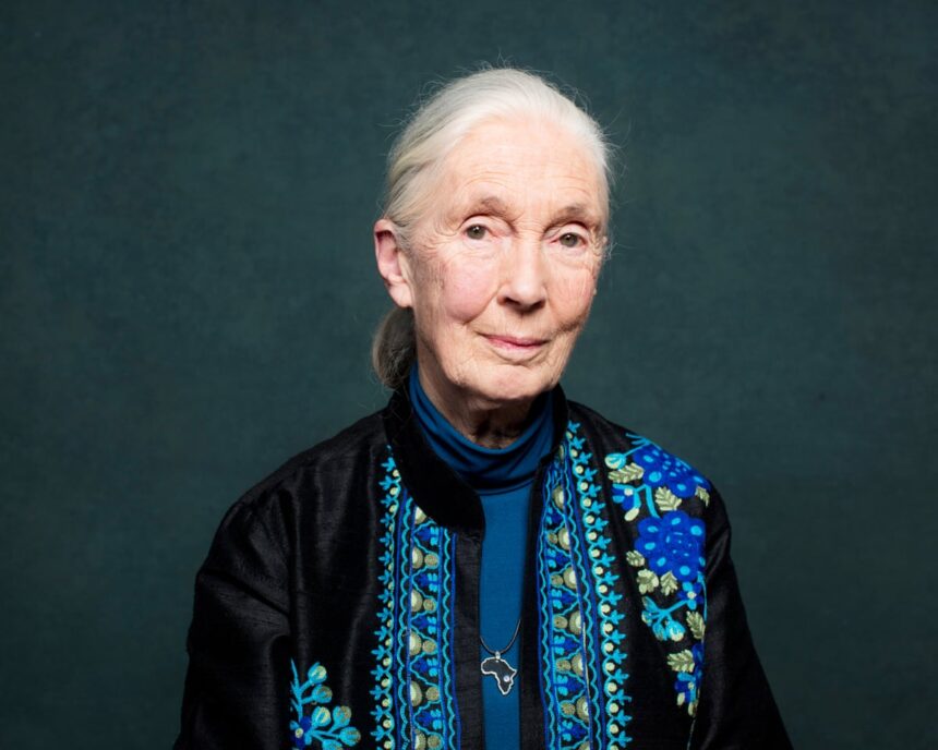 jane goodall world renowned primatologist dies aged 91 68dd7dbb0373c