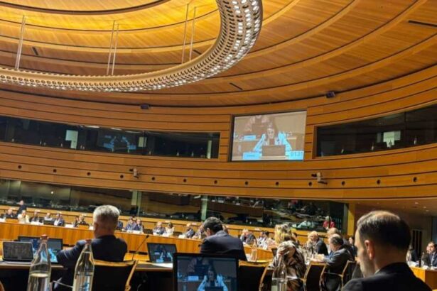 mae ministrul oana toiu a transmis la cae oferta romaniei de gazduire a hub ului de securitate maritima al ue 68f68ed63e89b