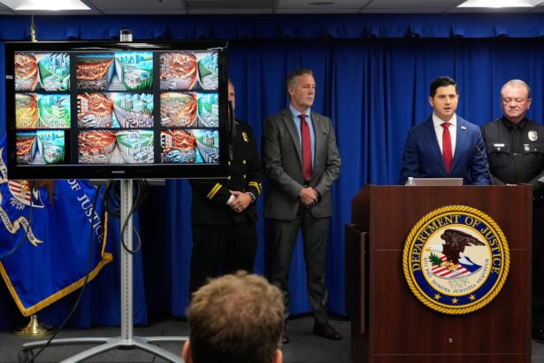 man charged with starting palisades fire to remain jailed federal magistrate says 68e7f14baa5ae