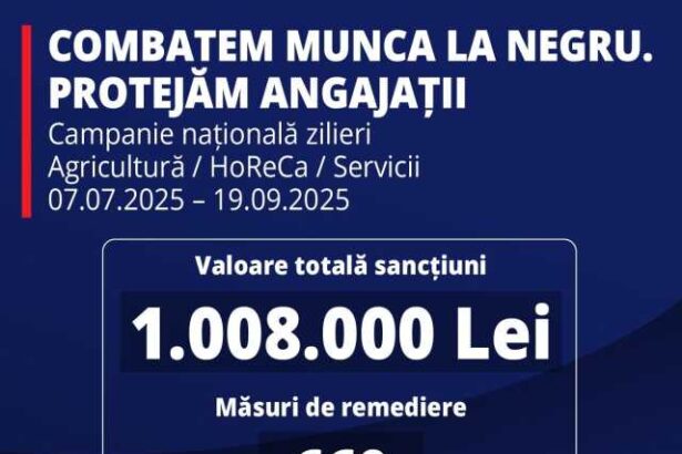 manole munca inseamna respect nu exploatare inspectia muncii a dat amenzi de un milion de lei la companii care foloseau zilieri 68e39c661de67