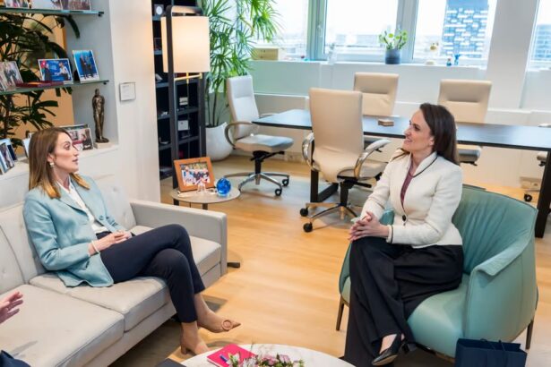 ministrul de externe oana toiu intrevedere cu presedintele parlamentului european roberta metsola 68f1255a6f4c0