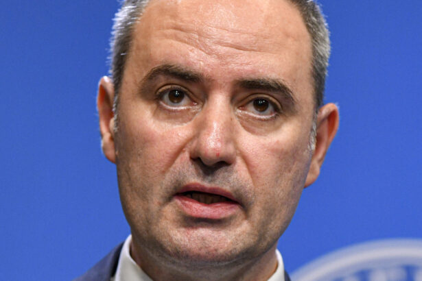 ministrul de finante despre decizia ccr are influenta asupra cererii pentru pnrr 68f63a098022d