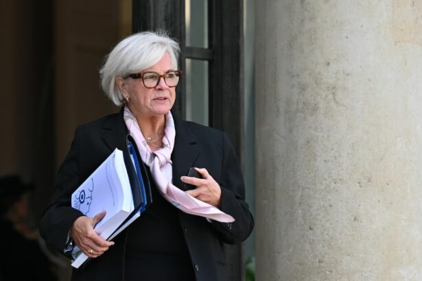 ministrul francez al apararii in vizita joi in romania 6901e9ca1ec1d