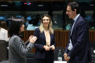 ministrul mediului diana buzoianu cere fonduri europene pentru finantarea infrastructurii de apa si canalizare din romania la reuniunea consiliului de mediu de la luxemburg 68f7a6e724d03
