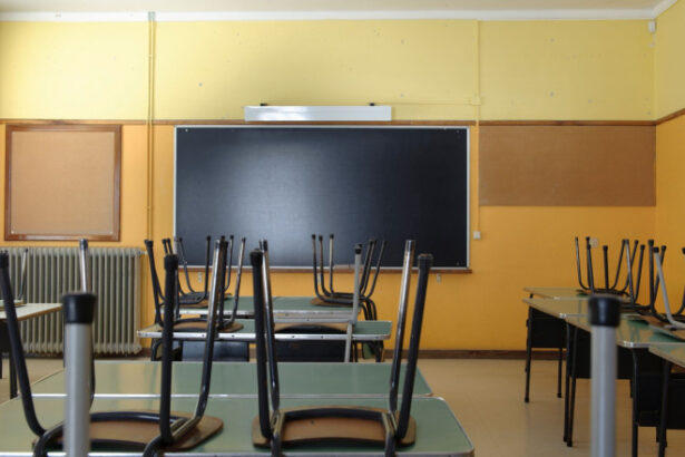 news alert toate scolile din bucuresti vor fi inchise miercuri stelian bujduveanu trebuie sa fim prudenti si sa nu blocam orasul 68e508760306c