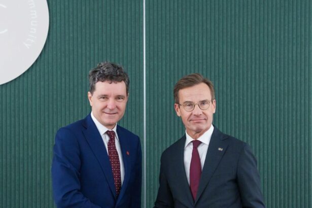 nicusor dan a discutat cu premierul suediei pe teme economice si de securitate 68de6c721dc6c