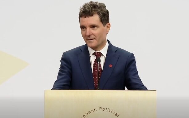 nicusor dan la copenhaga dupa comitetul politic european am prezentat raportul pe care parchetul l a facut pe alegerile din noiembrie anul trecut 68de8fdc3e4e0