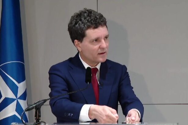 nicusor dan sustine ca timpii de asteptare s au injumatatit in vamile dintre romania si republica moldova avem insa o problema cu transportul de marfa 68fbe2f14d576