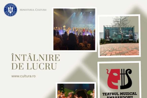 opereta si teatrul ambasadorii dezvoltarea teatrului liric dezbatere luni la ministerul culturii 68fa1fb7aa926