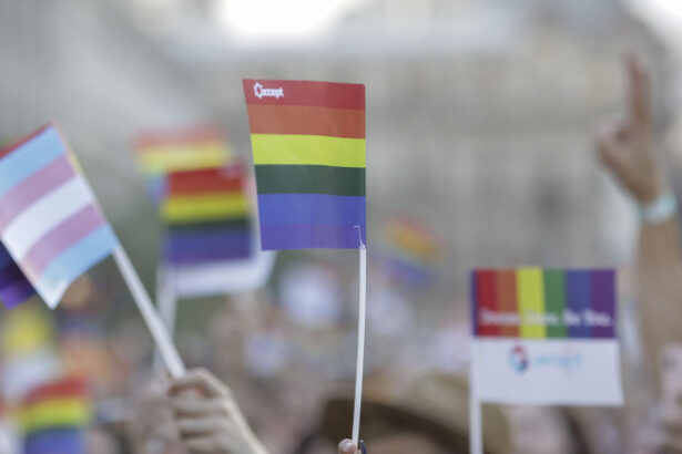 parintii copiilor lgbtiq invita politicienii la dialog dupa aparitia unor informatii false despre strategia ue privind copiii trans 68ee2de257d45