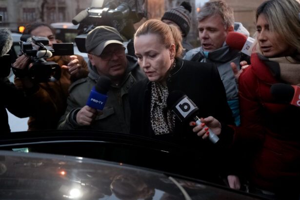 perchezitii la casa surorii fostului ministru de interne carmen dan 68f0b13c0fc8f