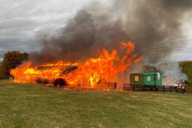 prahova incendiu violent la un saivan o persoana a fost gasita carbonizata 68ff14e67482b
