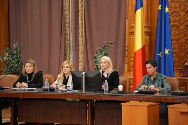 presedinta anes luminita popescu audiata in comisia romania fara violenta domestica alina gorghiu doar 12 000 de victime au beneficiat direct sau indirect de servicii de sprij 68e51a7872c59