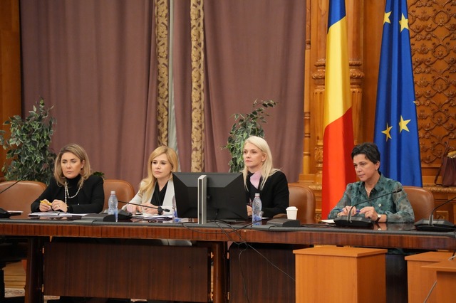 presedinta anes luminita popescu audiata in comisia romania fara violenta domestica alina gorghiu doar 12 000 de victime au beneficiat direct sau indirect de servicii de sprij 68e51a7872c59