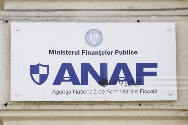 presedintele anaf vine cu precizari si spune ca nu intentioneaza fiscalizarea autoconsumului populatiei 68f1ebb43b88a