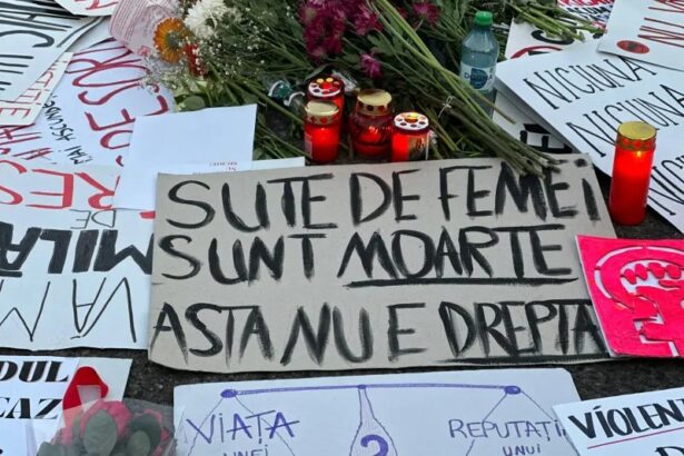 prima lege care defineste termenul de femicid si care vizeaza combaterea crimelor impotriva femeilor depusa in parlament modificarile propuse 69023e9ad6dd1