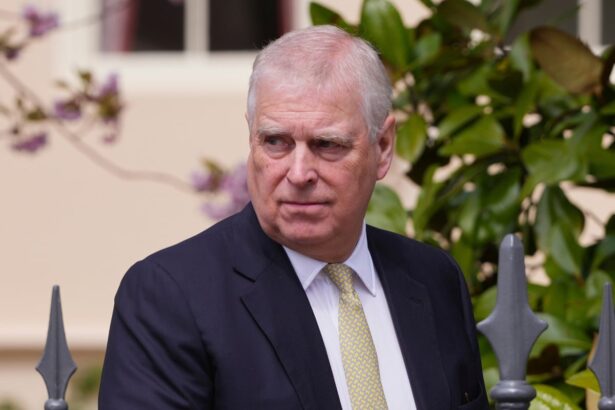 prince andrew tried to hire internet trolls to hassle virginia giuffre book claims 68f670733cb8e