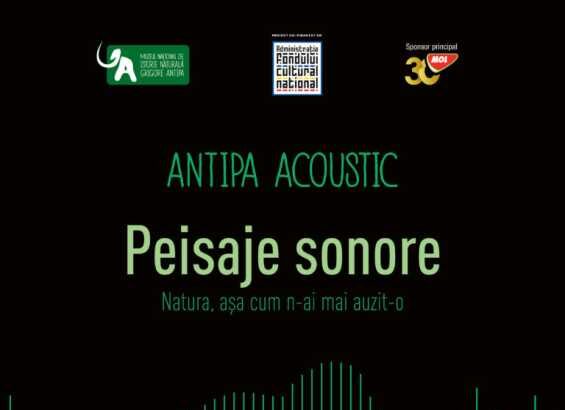 proiectul antipa acoustic sistem audio performant si aplicatie web interactiva la muzeul antipa 68f9d95951c16