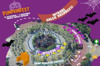 pumpkinfest in parcul lumea copiilor cel mai mare zid din dovleci sculptati printre atractii 6904749c804ce