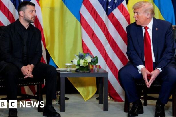 putin trump call a curveball for zelensky ahead of white house meeting 68f1b1e00b441