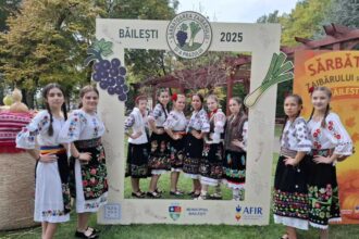 reportaj festivalul prazului si al zaibarului o sarbatoare a traditiei si gustului din bailesti galerie foto 68f506492dadb