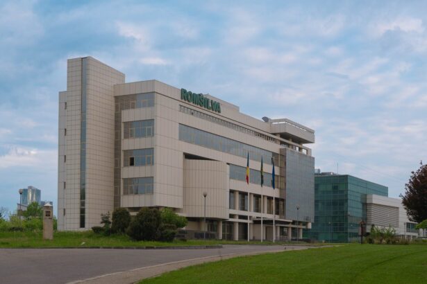 romsilva va oferi populatiei 2 milioane metri cubi de lemn pentru foc in 2025 68dcfa479e217