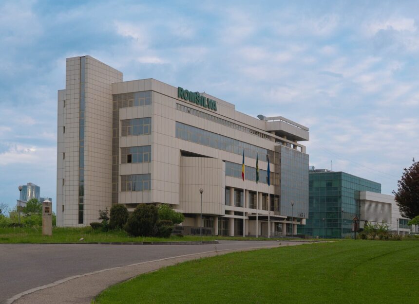 romsilva va oferi populatiei 2 milioane metri cubi de lemn pentru foc in 2025 68dcfa479e217