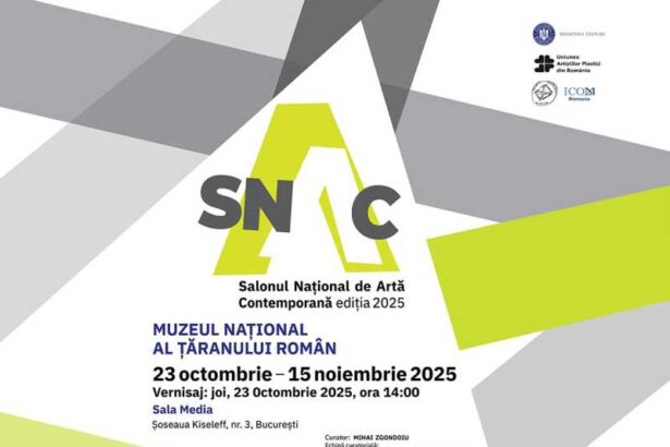 salonul national de arta contemporana sectiunea tineret de joi la muzeul taranului roman 68f606ebc5c58