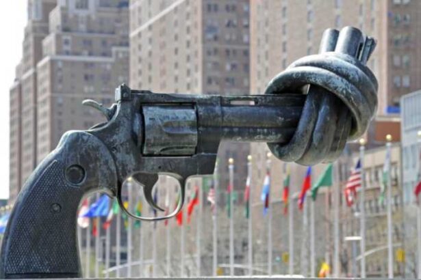 saptamana dezarmarii onu 68fb1704d441a