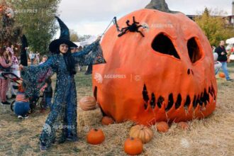 sector 6 peste 60 000 de oameni s au distrat in weekend la west side hallo fest 68ff610ad8424