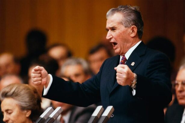 sondaj ipsos ceausescu este cel mai apreciat dintre fostii presedinti explicatia lui nicusor dan privind rezultatele cercetarii 68f69cdbcb275