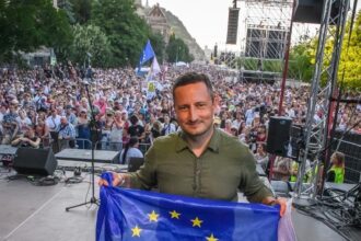 stefanuta romania lanseaza procedura pentru accesarea fondului european de ajustare la globalizare 68e6394dc82cf