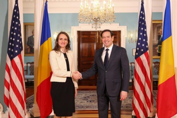 sua lauda romania pentru cheltuielile de aparare si rolul in marea neagra 68e7ed40ee3c8