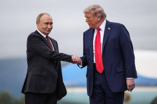 summit trump putin la budapesta in urmatoarele doua saptamani presedintele sua il primeste vineri la casa alba pe zelenski 68f1f2b480065