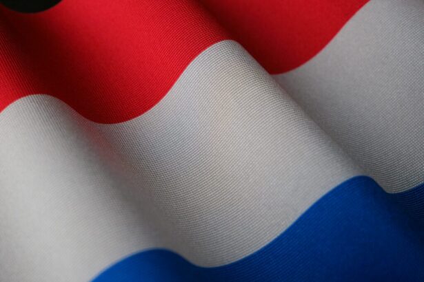 surpriza la alegerile din olanda extrema dreapta si liberalii la egalitate 690348372f2ff